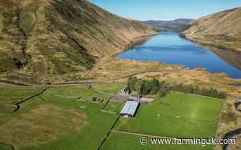 'Absolutely spectacular' Scottish Borders hill farm now for sale
