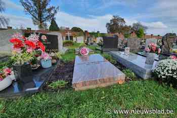 Halle past regeling voor begraafplaatsen aan tijdens Allerheiligen