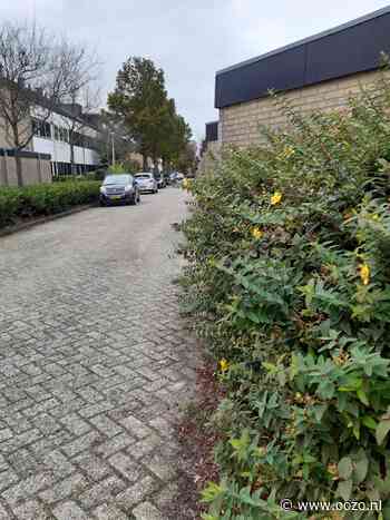 Overlastmelding Rhijnestein in Landsmeer gesloten