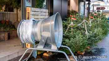 Ernteausfall und kleinere Fläche: Weihnachtsbäume werden teurer