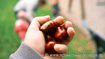 Eltern in Althengstett machen Druck: Kitagebühren: Entscheidung ist vertagt