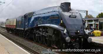 Wonderful sight as famous locomotive passes through Watford