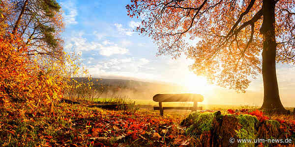 "Bei uns kein Regen in Sicht", sagen die Wetterfrösche - wenn überhaupt Sicht wäre