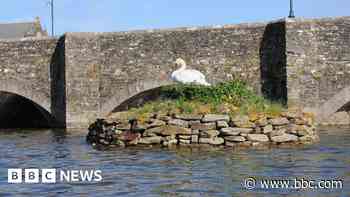 Swan island in Cornwall raised due to rising tides