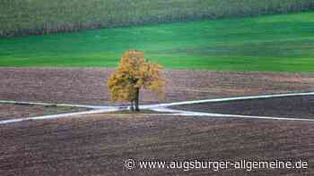 Wintereinbruch oder sommerlicher Oktober? So wird das Wetter in den Herbstferien