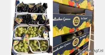 "Sinaasappelen heroveren marktaandeel na jaren van stagnatie"