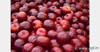 Pruimenhandel in Moldavië verschuift naar EU