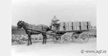 Koffieochtend met als thema 'Herinneringen aan de Barendrechtse veiling'