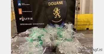 Douane vindt 600 kilo cocaïne tussen bananen in Vlissingen
