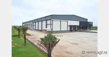 Indiase druivenseizoen met de nodige uitdagingen van start