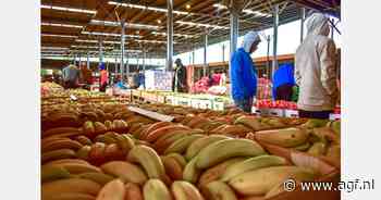 "De dagen van goedkope bananen zijn voorbij"