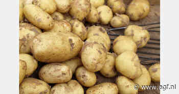 Recordexport Franse aardappelen