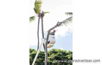 Hawaii agriculture board advances new rules to fight invasive species