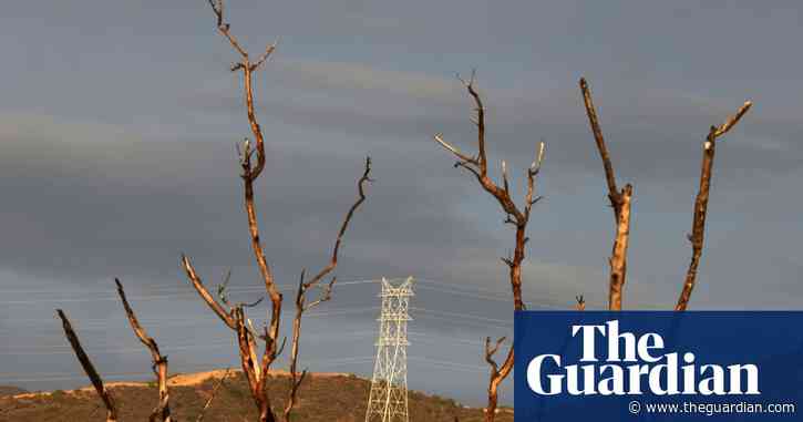 US power grid added battery equivalent of 20 nuclear reactors in past four years