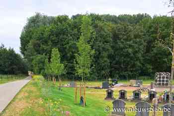 Kerkhof Nossegem breidt uit met bosje voor 55 biologisch afbreekbare urnen: “Groeiende vraag naar laatste rustplaats in de natuur”