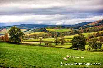 Food production 'at risk' if post-Brexit agricultural schemes fail