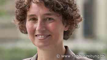 «Für die Schweiz reichen zwei neue grosse Kernkraftwerke»