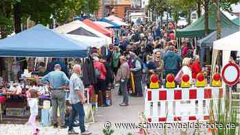 Blick auf die Stadt Bad Wildbad: „Es ist schön bei uns, aber wir sehen es nicht“