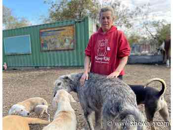 Plainfield animal sanctuary up for sale as owner tries to care for animals