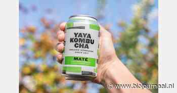 Nieuw: Yaya Kombucha Maté