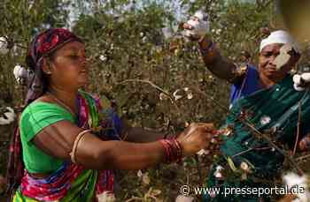 Neue Studie: Fairtrade-Bio-Baumwolle hat beste Umweltbilanz