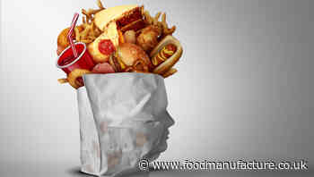 House of Lords health and obesity recommendations 2024