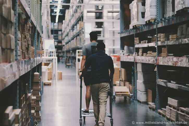 Nachhaltige Verpackungslösungen: Wie man den ökologischen Fußabdruck reduziert