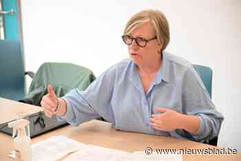 Vooruit én Groen geeft stand van zaken over coalitievorming in Niel: “We blijven geloven in tripartite”