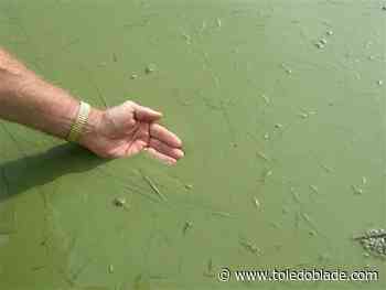 Ohio EPA seeks to become a defendant in Lake Erie case, as well