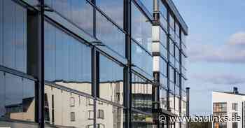 Lumon definiert seine Nachhaltigkeitsstrategie für einen langfristigen Prozess auf allen Ebenen