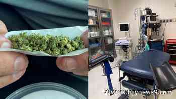 A guide to Florida’s 6 constitutional amendments on the ballot