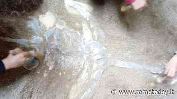 Mostri marini, i bambini alla scoperta delle creature preistoriche degli abissi