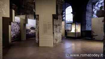 "Göbeklitepe: L'enigma di un luogo sacro", la mostra al Colosseo