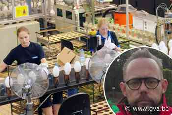 Nieuwe ontslagronde bij Signify kost 77 jobs: “Overgebleven werknemers zien lampenfabriek wegdeemsteren”