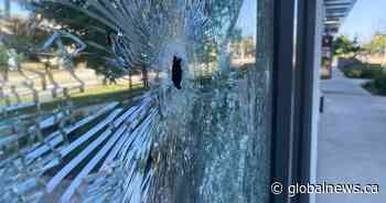 More than half of B.C. businesses say they are impacted by rising crime