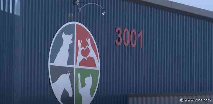 Bernalillo County Animal Care Services and Resource Center relocating animals following discovery of black mold