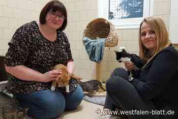 Eichenhof verhandelt Zahlungen für Tierfunde mit den Kommunen neu