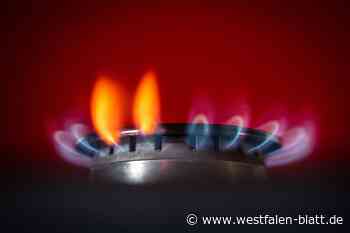 Stadtwerke Herford wollen in großem Stil Kunden zurückgewinnen