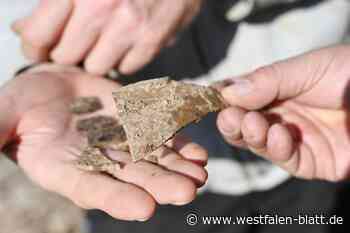 Ausgrabung am Glockenpfuhl in Höxter:  Spuren führen zum Scharfrichter