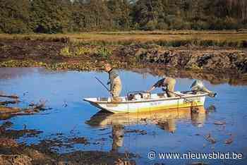 Nog meer dan duizend vissen gered na stilgelegde natuurwerken: “We zijn zelf geschrokken”