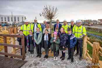 Seafront playpark in Sunderland which school children helped design to officially open this weekend