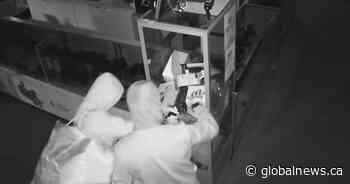 Nearly half of Alberta small businesses say they are victims of crime: CFIB