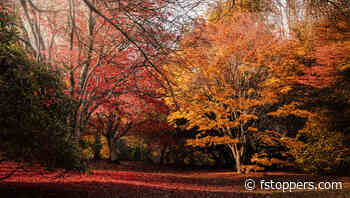 Creative Ways to Capture the Warm Tones of Autumn