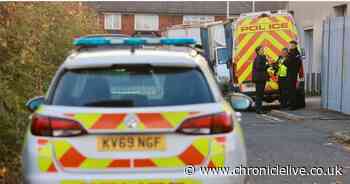 Police called to Newcastle street after concerns raised about dogs in vehicles