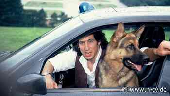 Vierbeiner feiert Comeback: "Kommissar Rex" kehrt mit neuen Folgen zurück