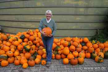 Entweder „hopp“ oder „top“: So lief die Kürbis-Ernte in diesem Jahr
