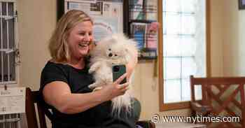 ‘Somebody Somewhere’ Is Back for Its Final Season