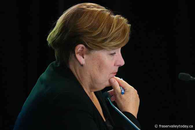 Policy points, partisan jabs mark closing foreign interference hearing