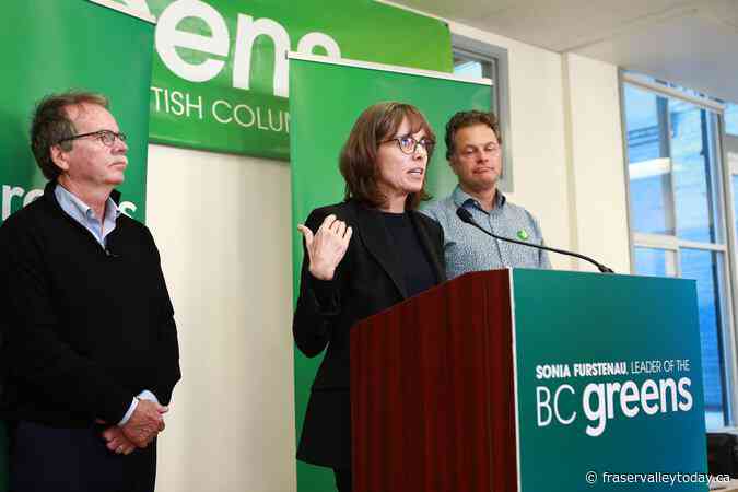 Facts about the B.C. Greens who could be kingmakers in the legislature