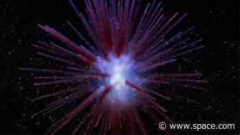 In a cosmic horror show, this zombie star survived a supernova explosion